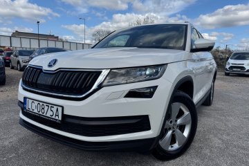 2.0 T. Benz . Szwajcaria - 7 os. / 4x4 / DSG - Panorama !